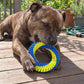 Teeth Cleaning Ring