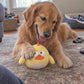 Side-Eye Chick