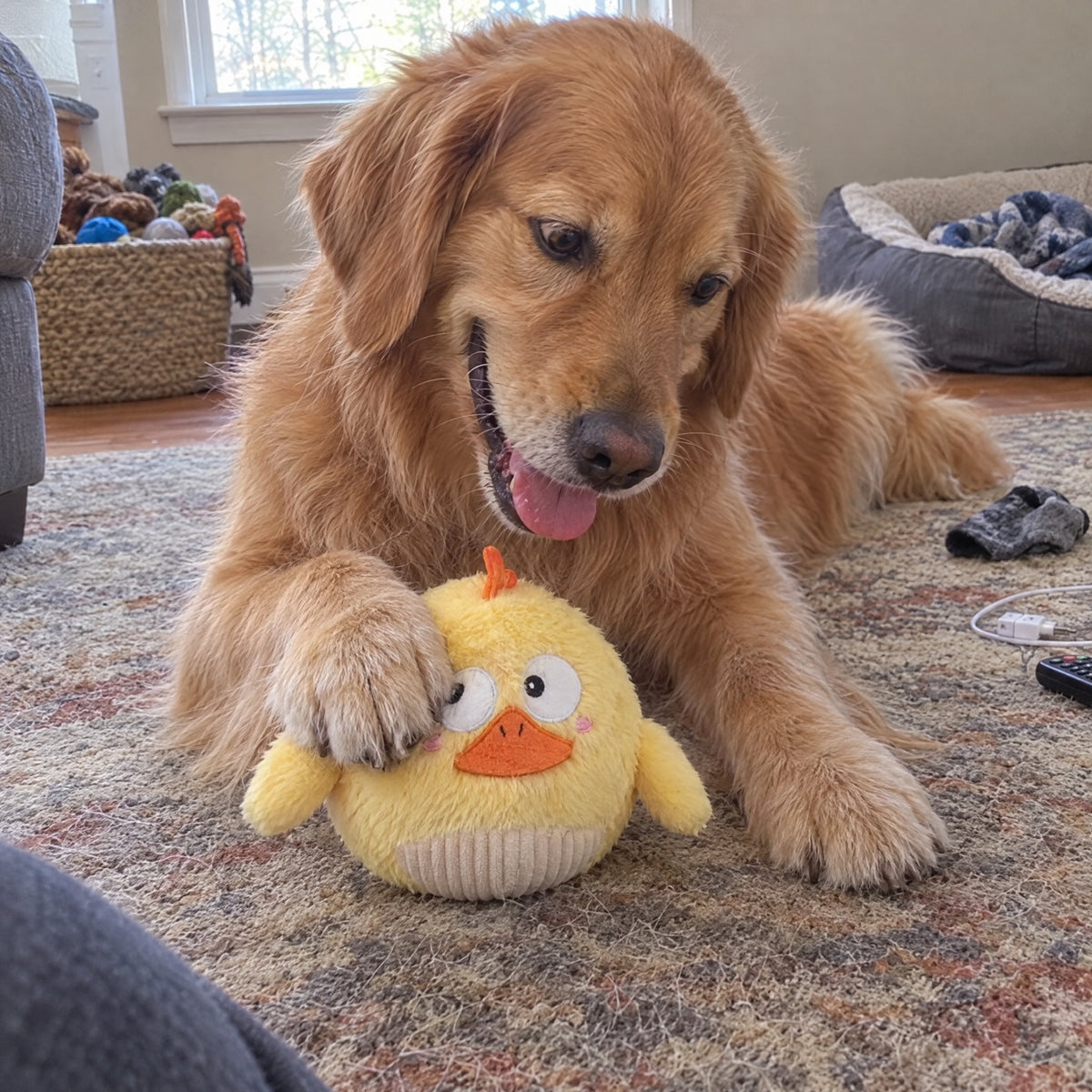 Side-Eye Chick