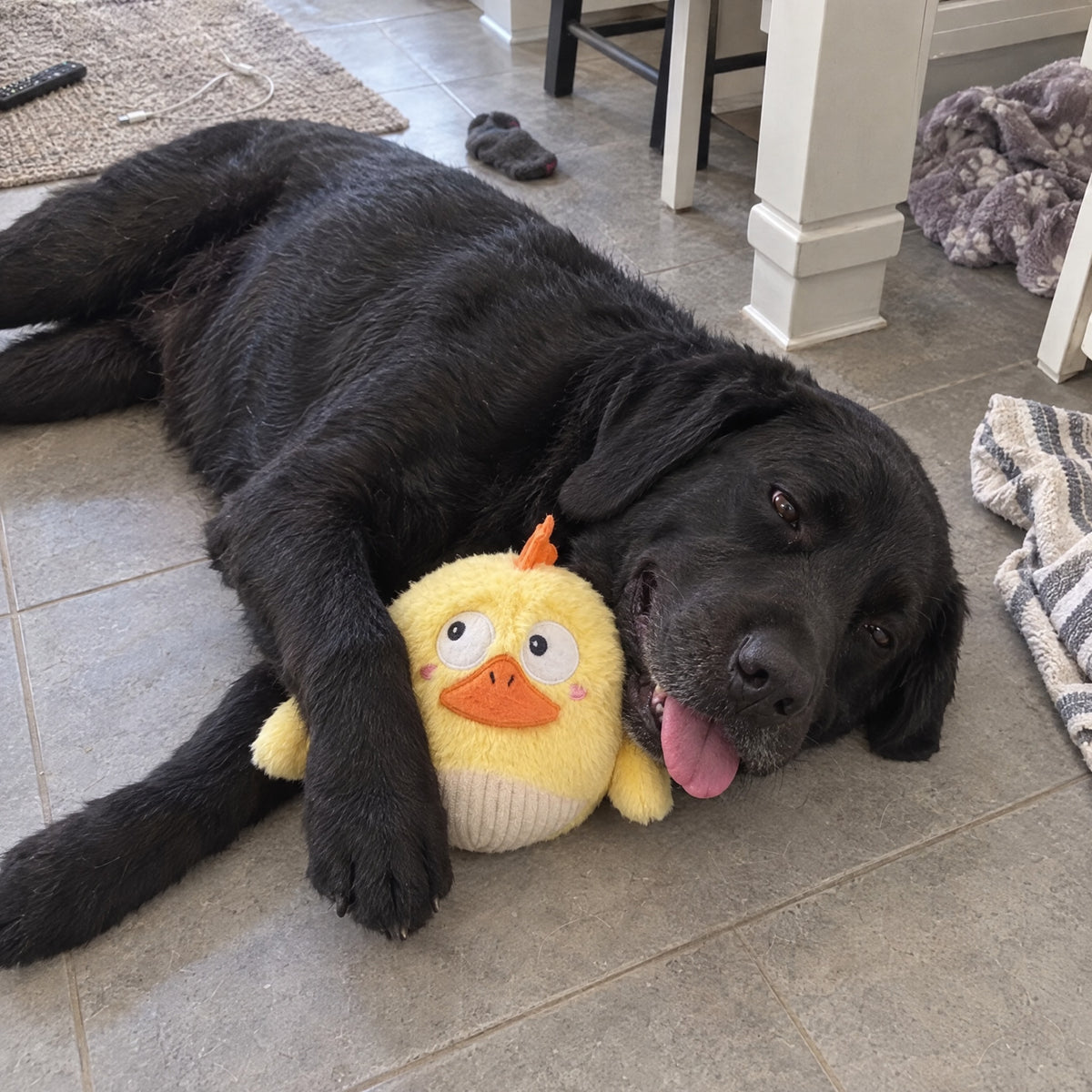 Side-Eye Chick