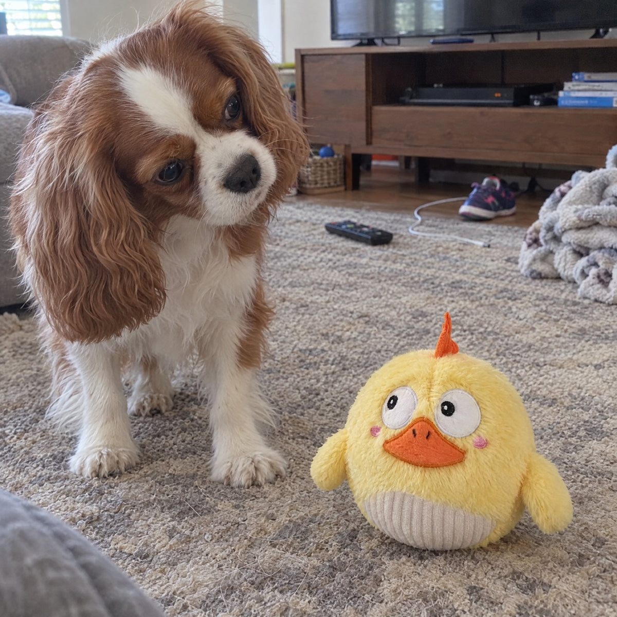 Side-Eye Chick