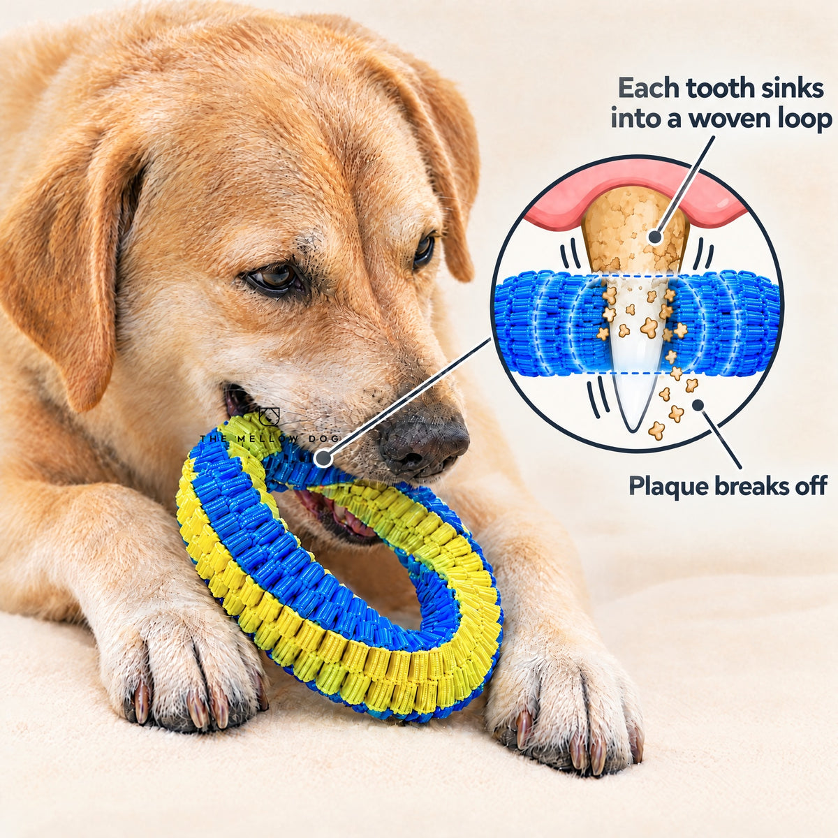 Teeth Cleaning Ring