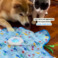 Teasing UFO (Cats)