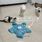 Teasing UFO (Cats)