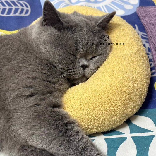 Calming Cat Pillow