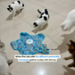 Teasing UFO (Cats)