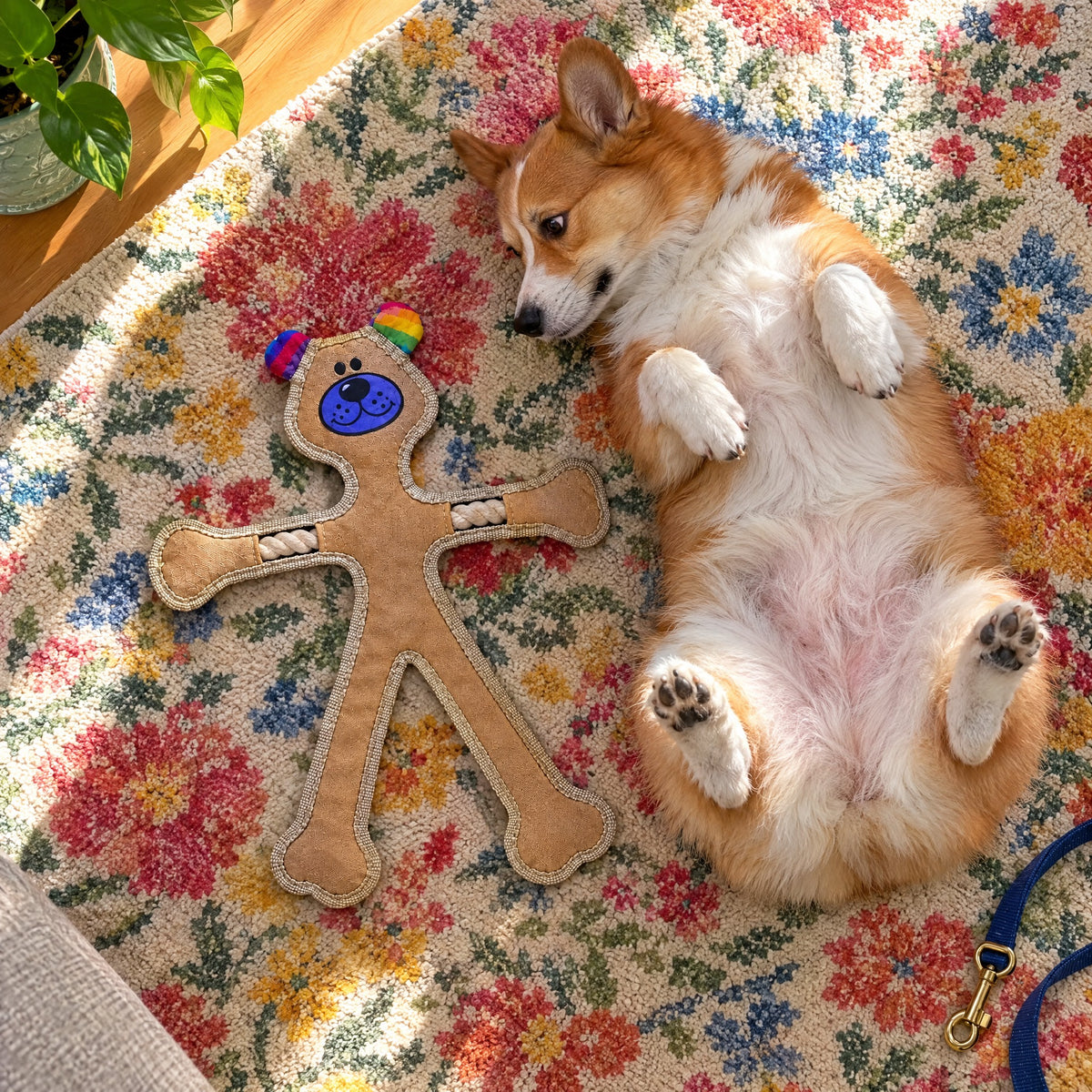 Human Dog