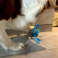 Motion Ball