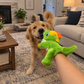 Calming Dinosaur