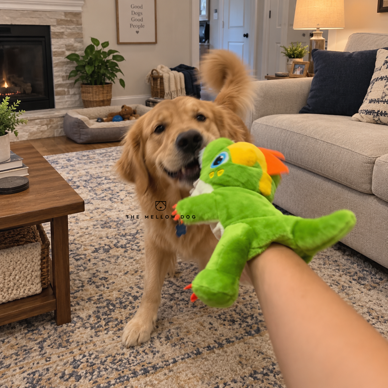Calming Dinosaur