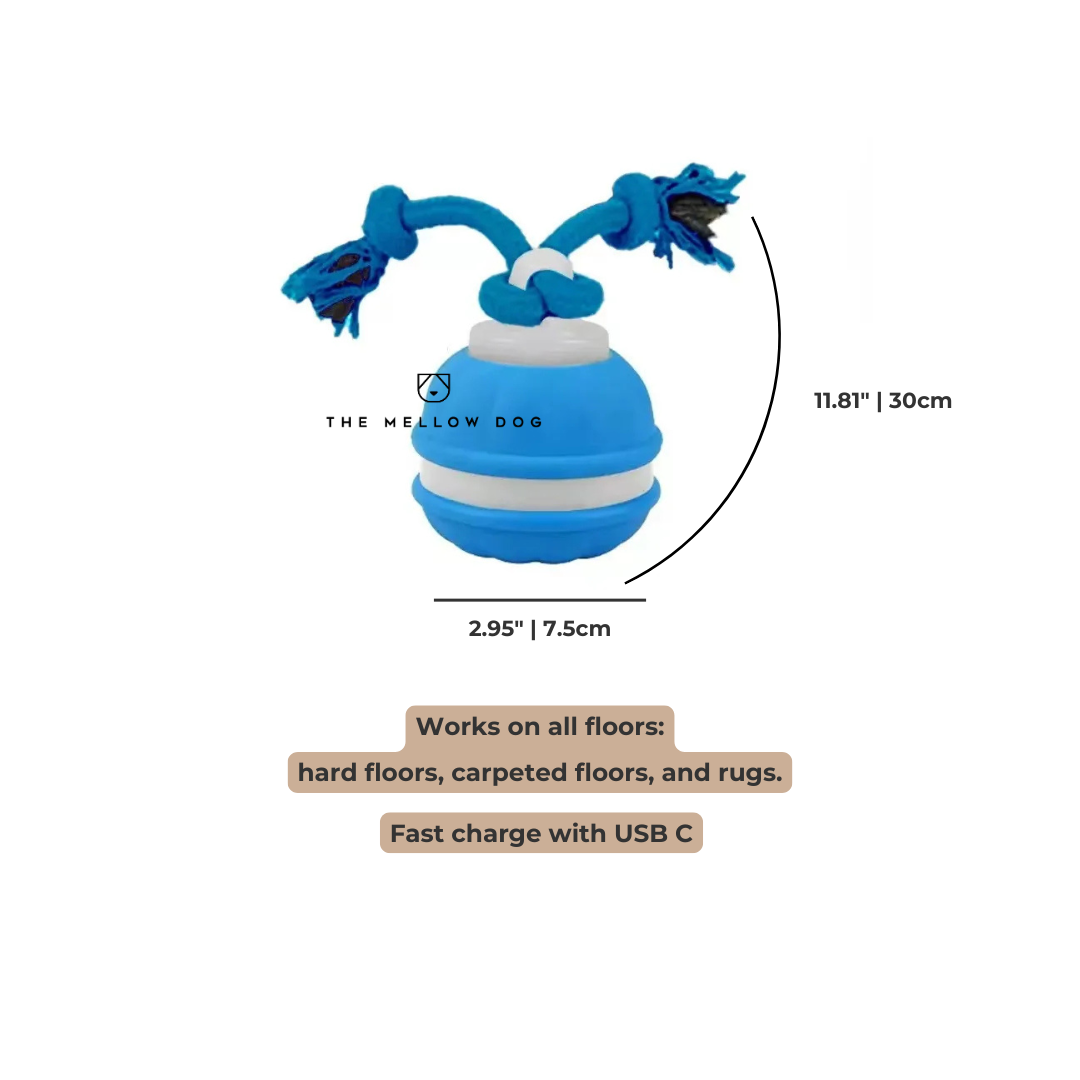 Motion Ball