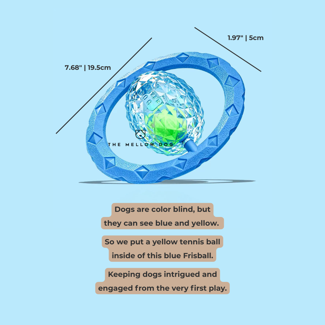 Frisball