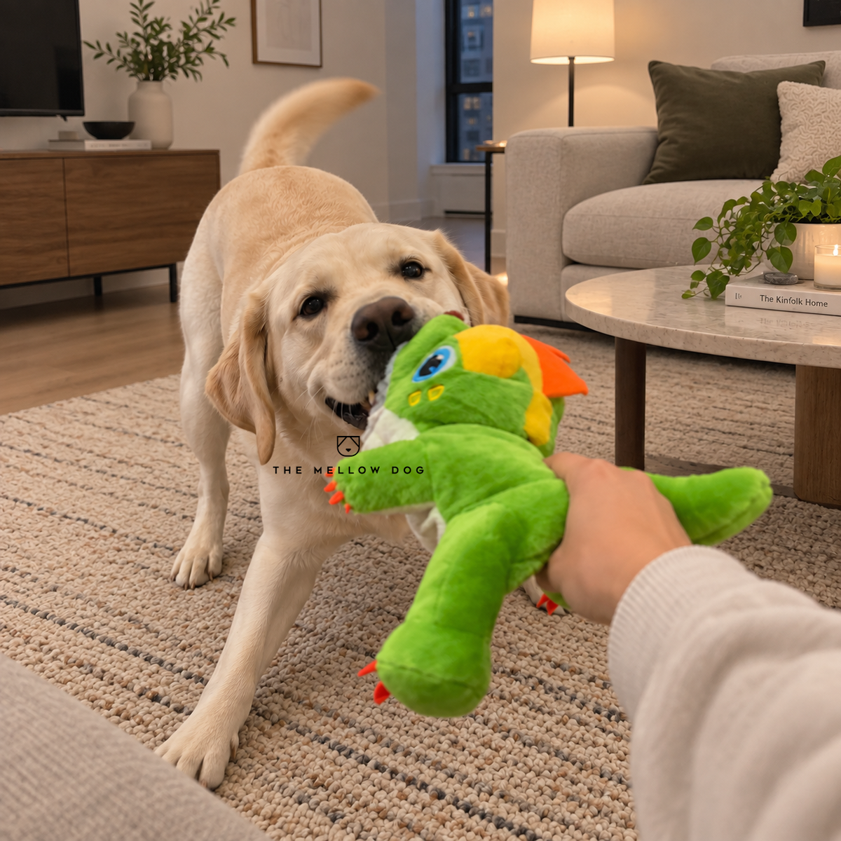 Calming Dinosaur