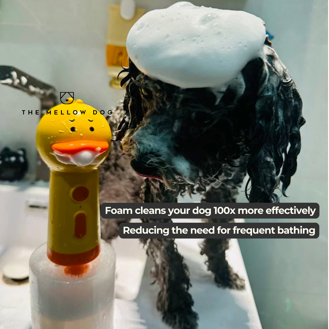 Foaming Duck