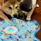 Teasing UFO (Cats)