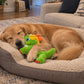 Calming Dinosaur