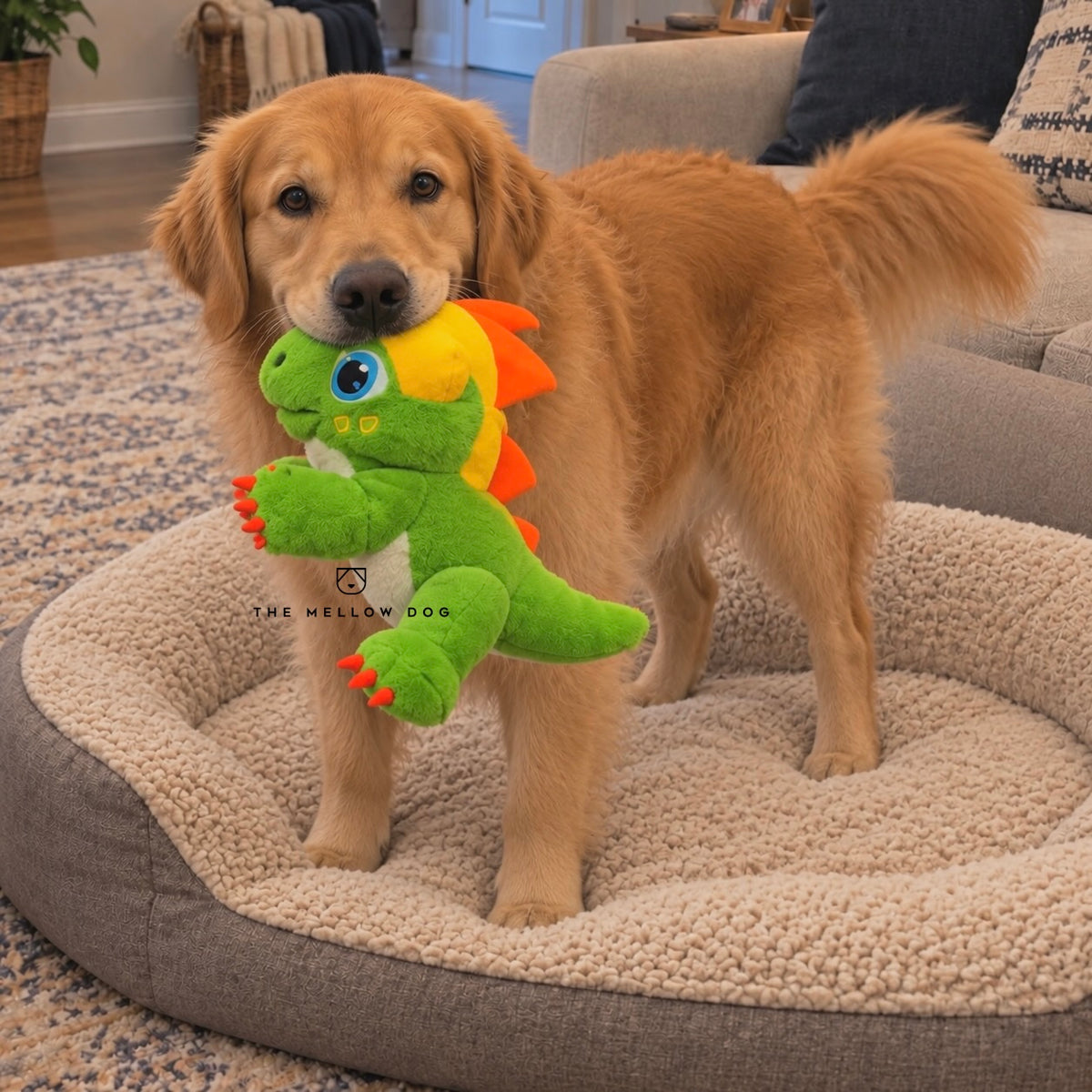 Calming Dinosaur