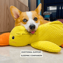 Calming Duck – The Mellow Dog