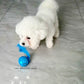 Motion Ball