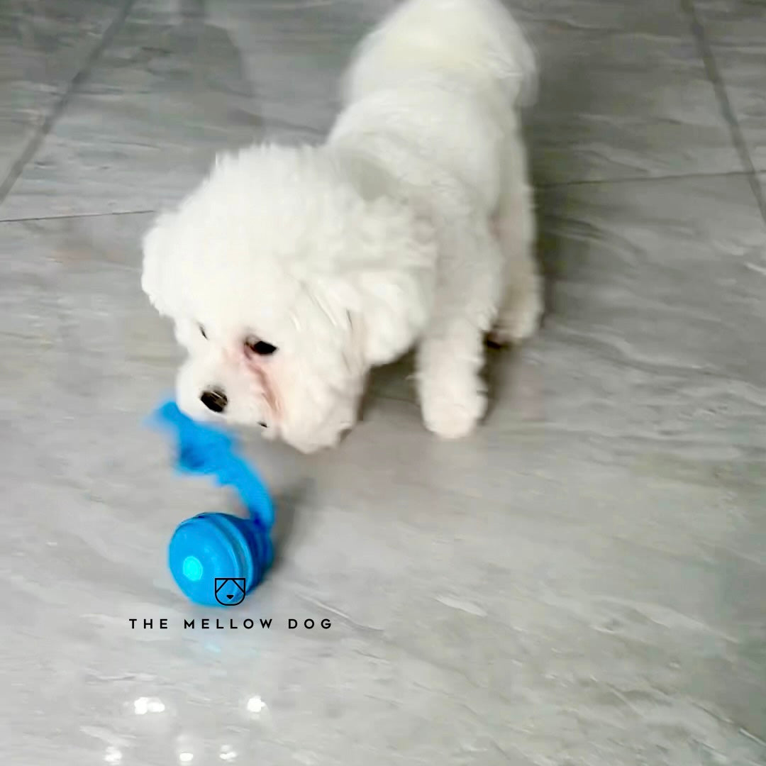 Motion Ball