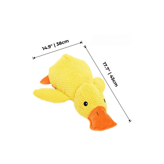 Calming Duck – The Mellow Dog