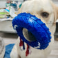 Pupchelin