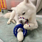 Pupchelin
