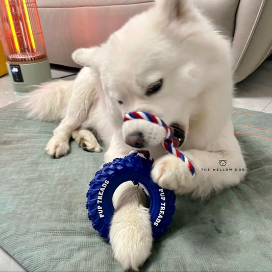 Pupchelin
