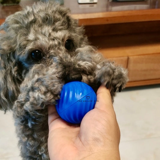 Self Rolling Smart Ball