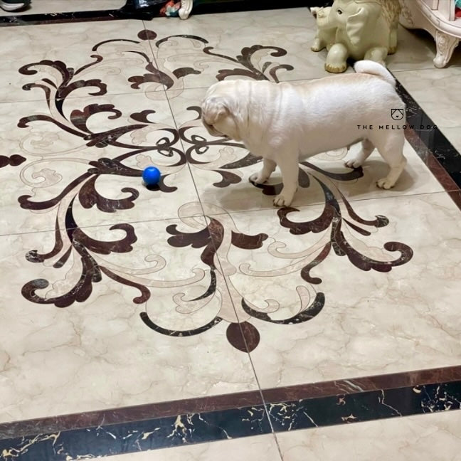 Self Rolling Smart Ball