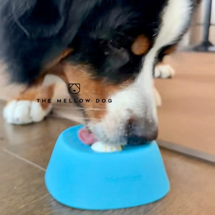 Calming Licking