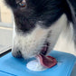 Calming Licking