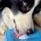 Calming Licking