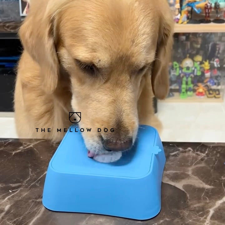 Calming Licking