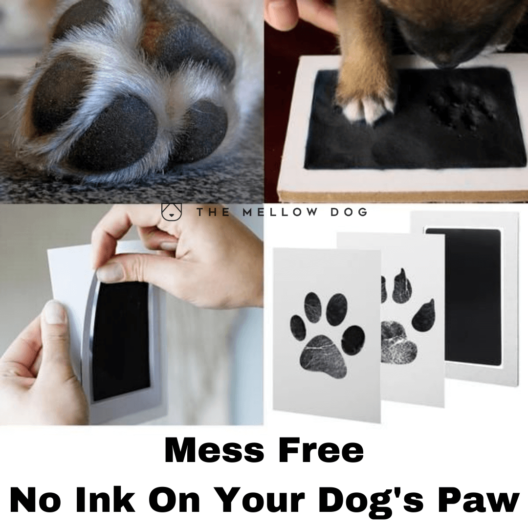 Forever Fun Times Easy-Clean Pet Paw Print Kit | Get Hundreds of Prints from One Low-Cost Paw Print Kit | 100% Safe and Pet-Friendly | No-Mess Paw