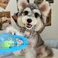 Frisball
