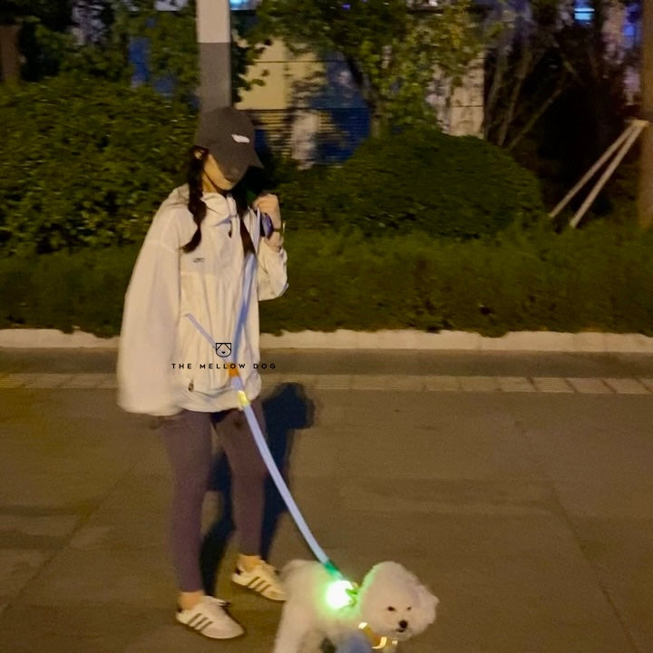 Bubblegum Leash