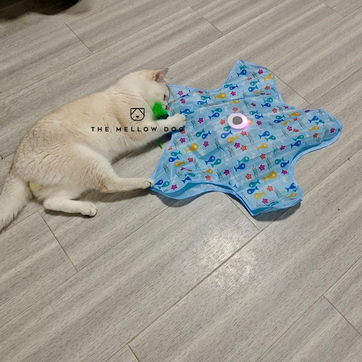 Teasing UFO (Cats)