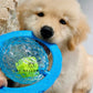 Frisball