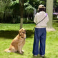 Bubblegum Leash