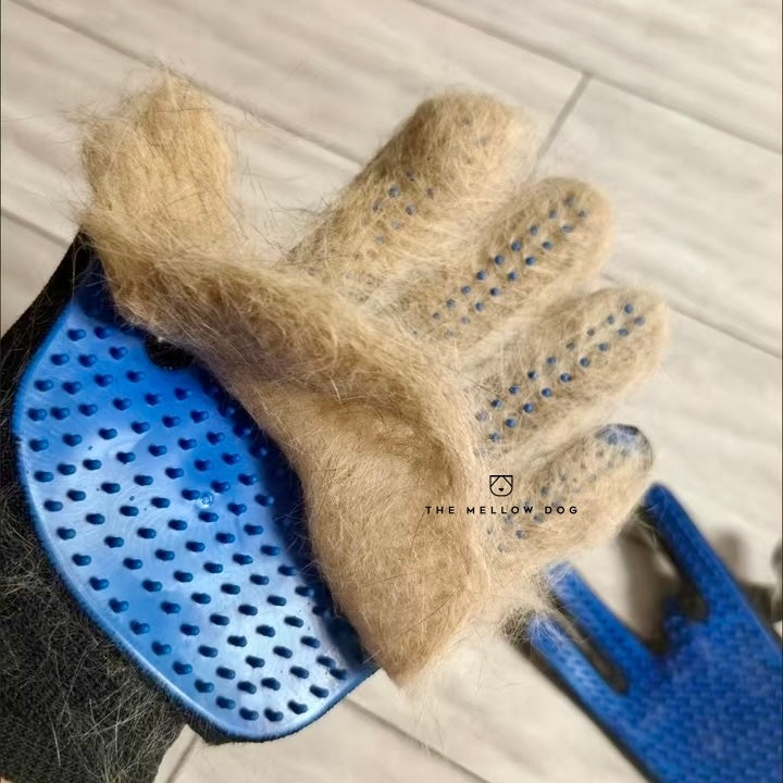 Pain Free Glove (one pair)