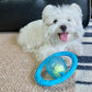 Frisball