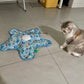 Teasing UFO (Cats)
