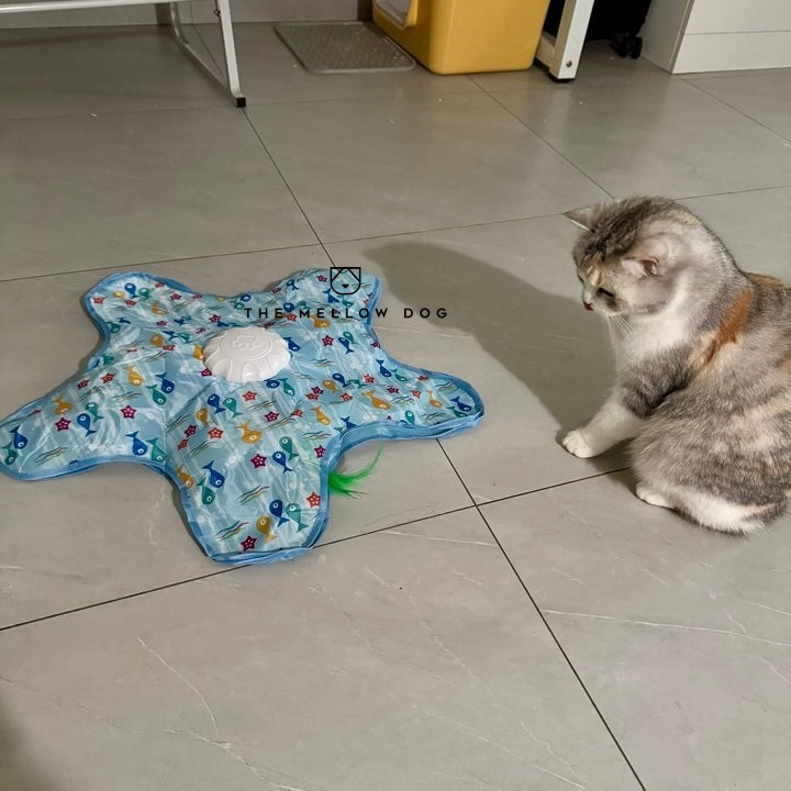 Teasing UFO (Cats)