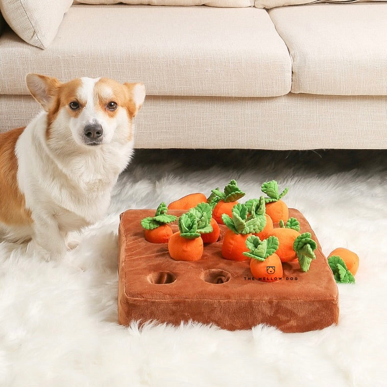 Carrot Treat Dispensing Dog Toy - tinypawsboutique