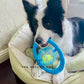 Frisball
