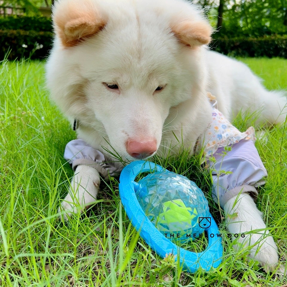 Frisball