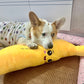 Calming Banana