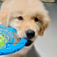 Frisball