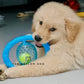 Frisball